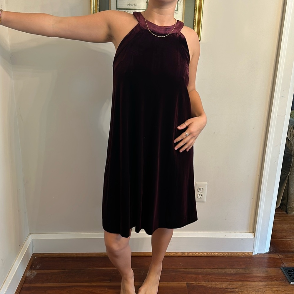 betsey johnson velvet dress